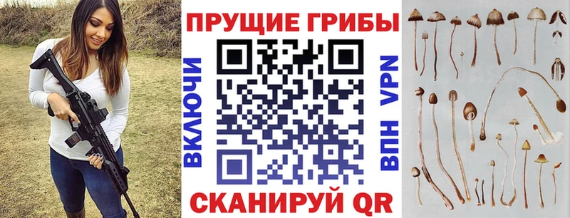 Купить  Моршанск  Галлюциногенные грибы мухоморы 